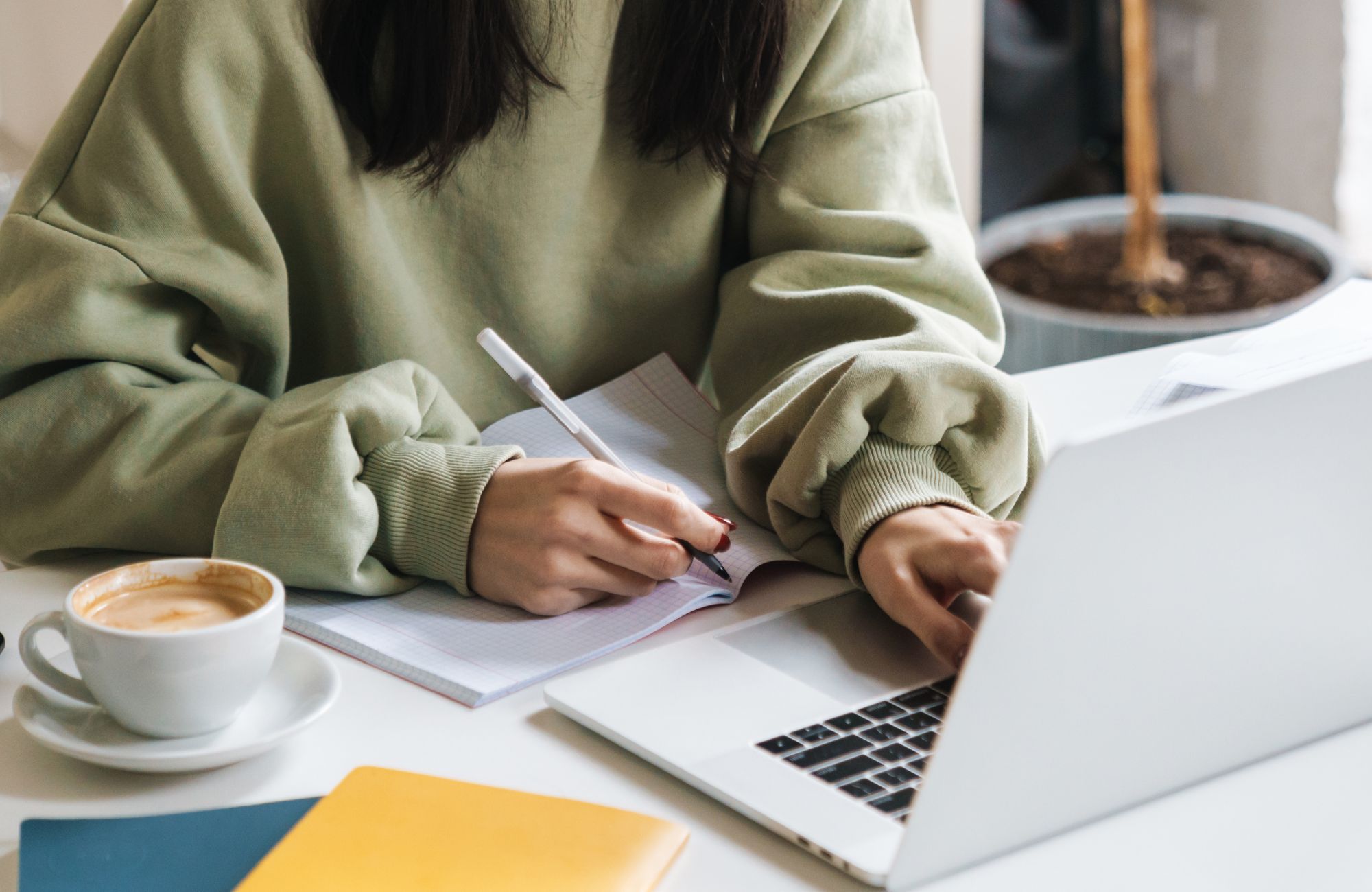 Référencement SEO Landes